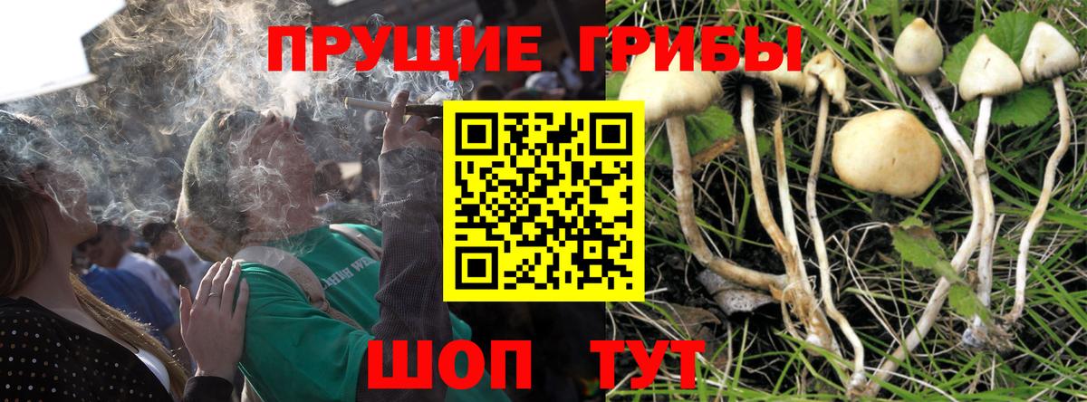 Галлюциногенные грибы GOLDEN TEACHER  Вход с VPN  Псилоцибиновые грибы мухоморы  Геленджик 